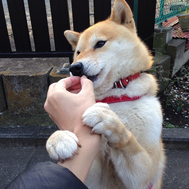 爆冷，两种赛场的同频共振