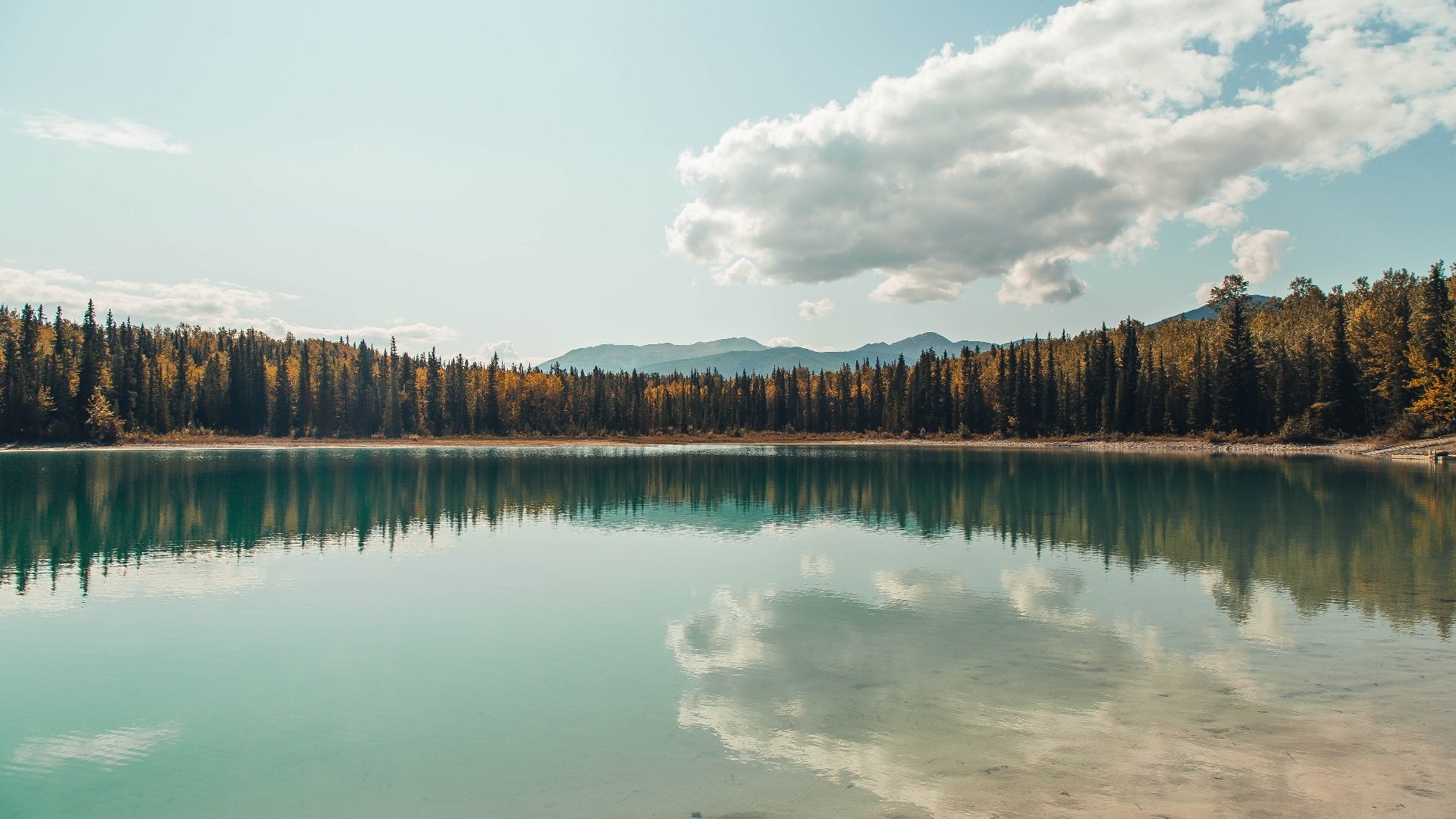 独舞时刻，当克罗地亚的利刃刺破黄昏，布鲁诺在街道的迷宫中封王