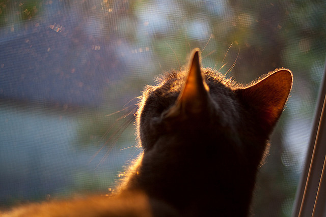 角斗场68分钟，当阿圭罗的射门击穿维京盾墙