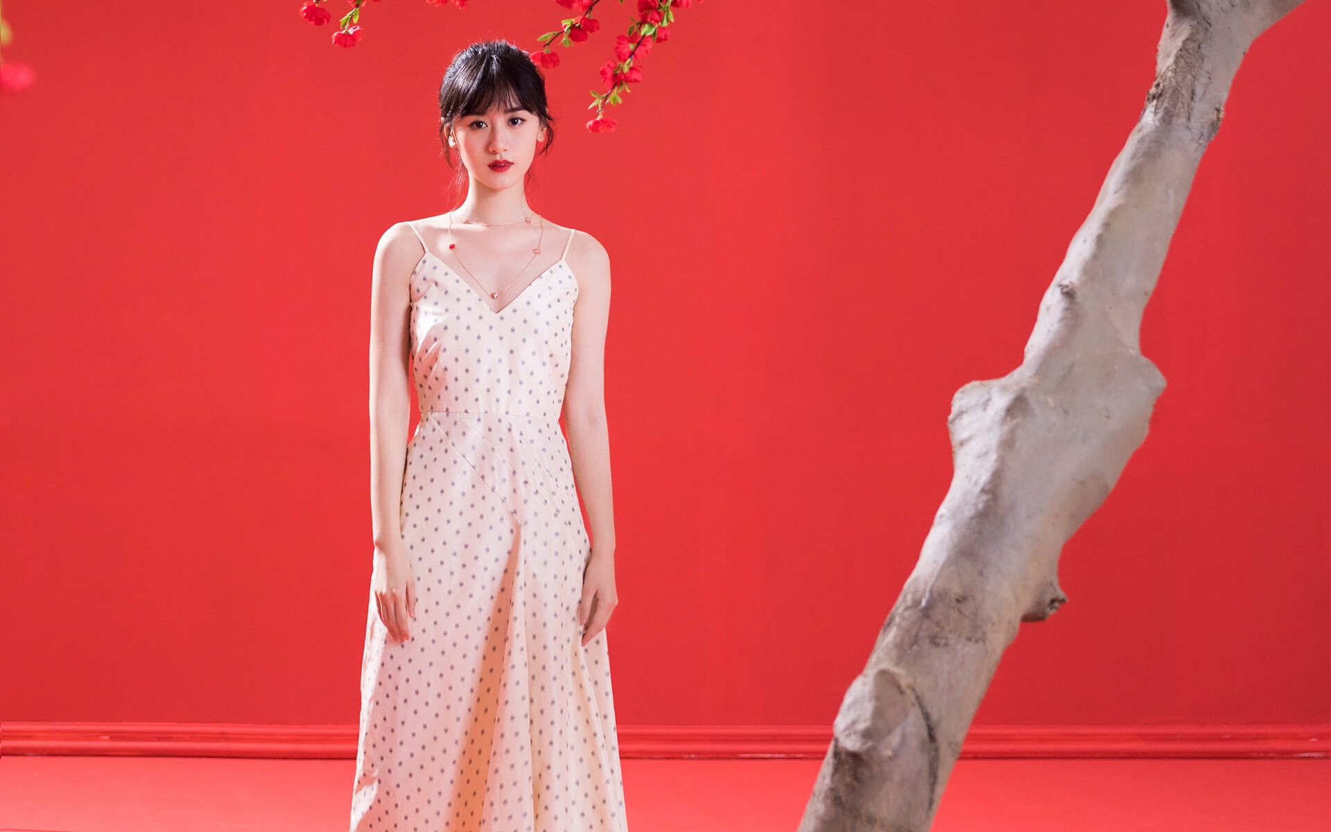 贝恩火力全开轰炸篮筐！纽约尼克斯提前一节终结悬念，辽宁队遭遇惨败