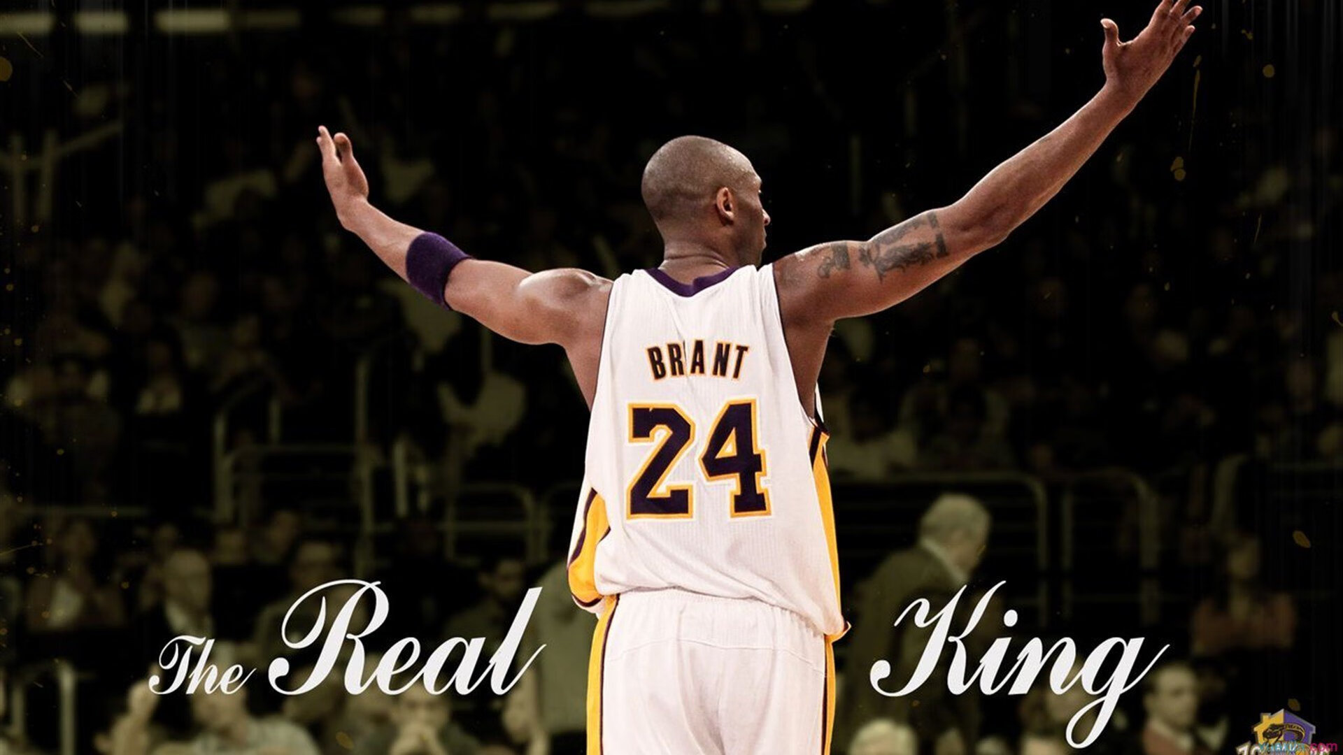 镜像对决，当湖人巅峰想象遇上鹈鹕新星时，范弗利特在另一片球场完成了真正的加冕