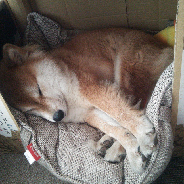 王者降临！墨西哥完胜亚特兰大，特奥天神下凡铸就冠军级史诗