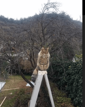 聚光灯下，他渐入佳境，当京多安将世界杯舞台化为个人交响剧场