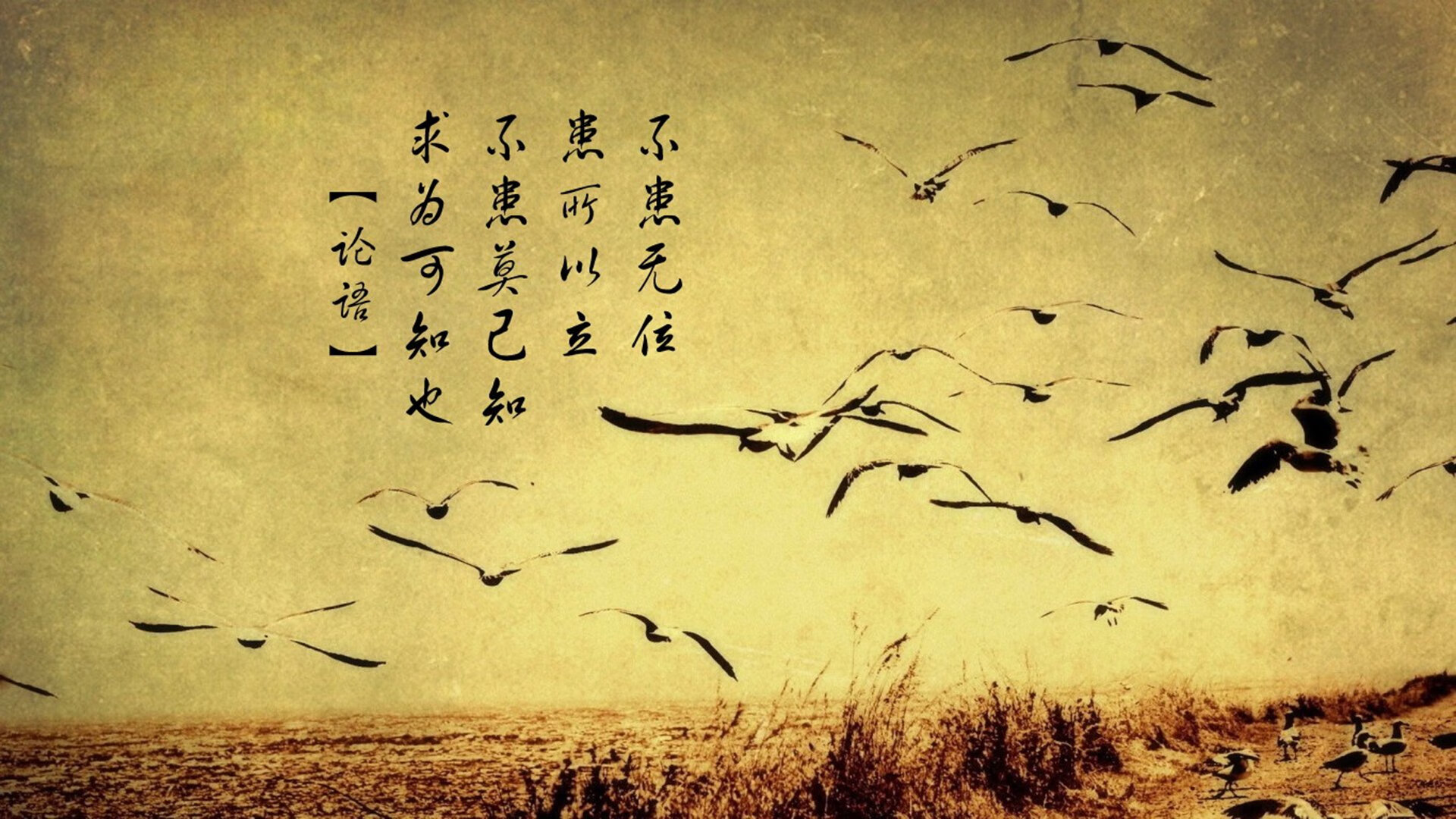 唯一的夜晚，当拉什福德在C组重写日耳曼战车的命运