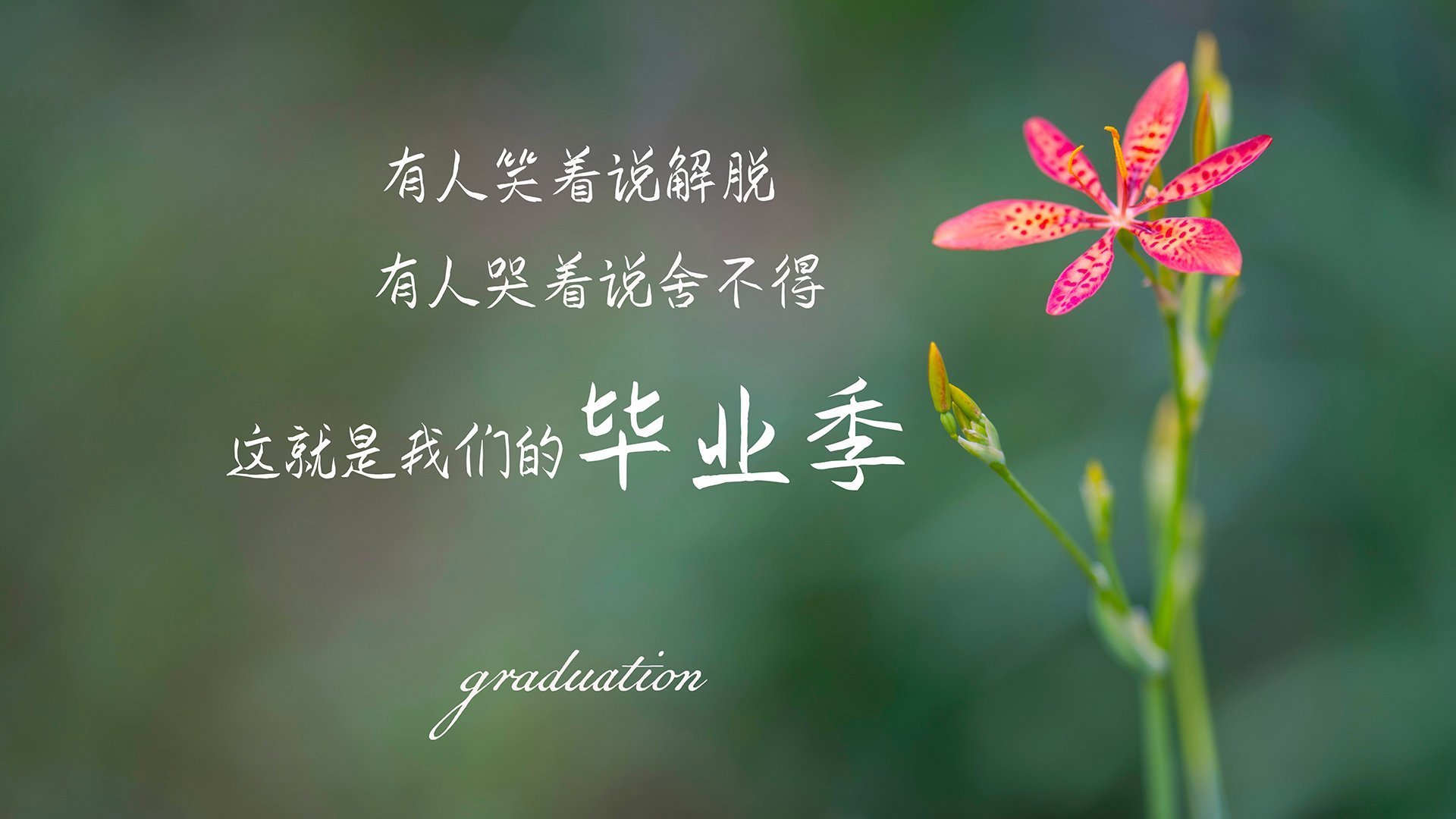 命运的唯一转折,2026世界杯F组生死战,乌拉圭逆转乌兹别克斯坦,德容铸就永恒传奇